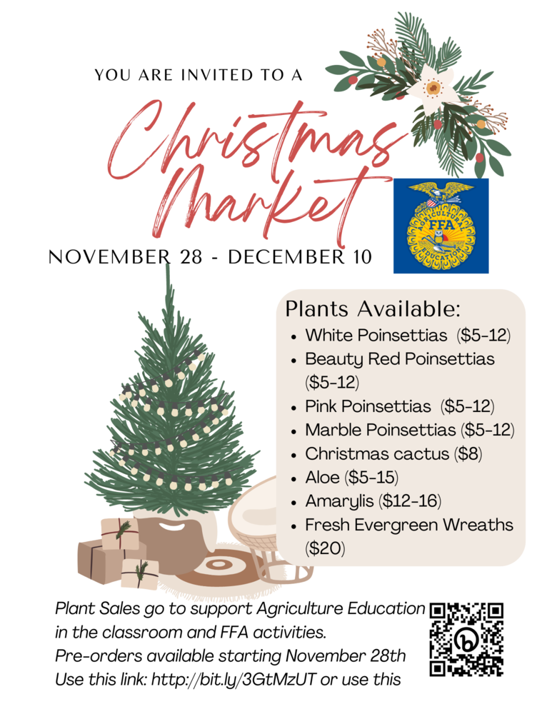 Flyer for Agriculture Christmas market