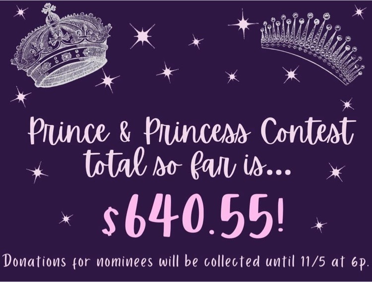 prince and princess contest